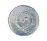 Genware SCR-PSF14 Terra Porcelain Seafoam Saucer 14.5cm - Pack of 6