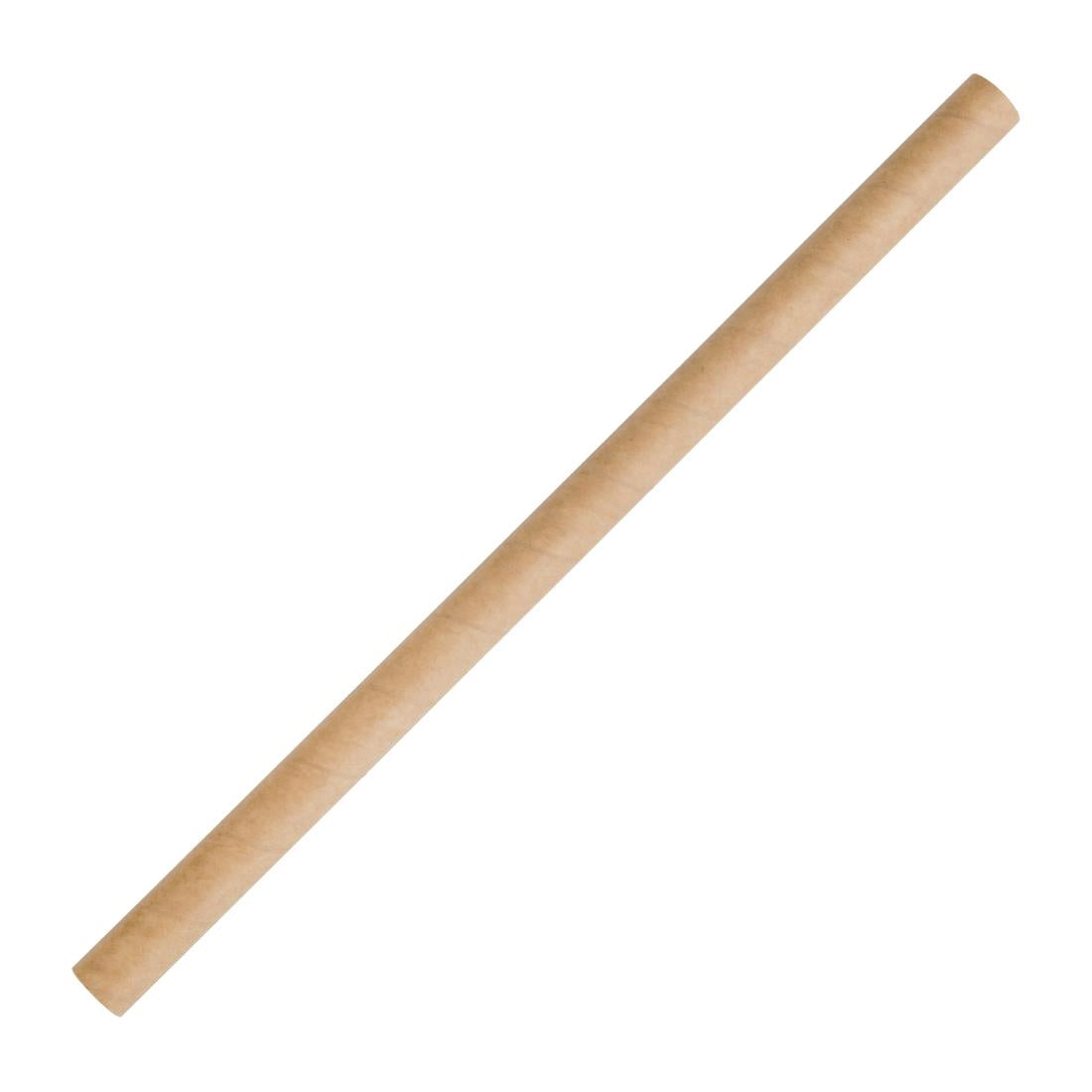 Fiesta Compostable Paper Smoothie Straws product image