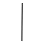 Fiesta Compostable Paper Straws Black (250 Pack)