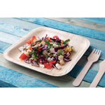 Fiesta Compostable Palm Leaf Plates Square 200mm (100 Pack)