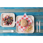 Fiesta Compostable Palm Leaf Plates Square 200mm (100 Pack)
