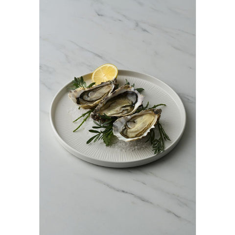 Churchill Bamboo White Walled Plates 260mm product image