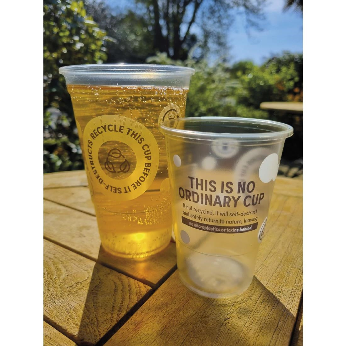 eGreen SD TWOinONE Flexy PP Pint to Brim Glasses UKCA CE 570ml (1000 Pack)