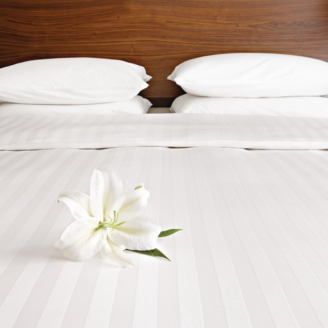 Mitre Comfort Satin Oxford Pillowcase Oatmeal (2 Pack)