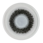 Churchill Studio Prints Fusion Black Walled Plates 260mm (6 Pack)