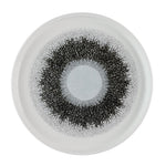 Churchill Studio Prints Fusion Black Walled Plates 210mm (6 Pack)