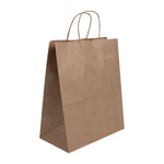 Fiesta Recyclable Twist Handle Brown Paper Bags Large (250 Pack)