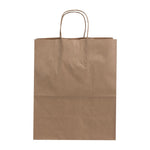 Fiesta Recyclable Twist Handle Brown Paper Bags Large (250 Pack)