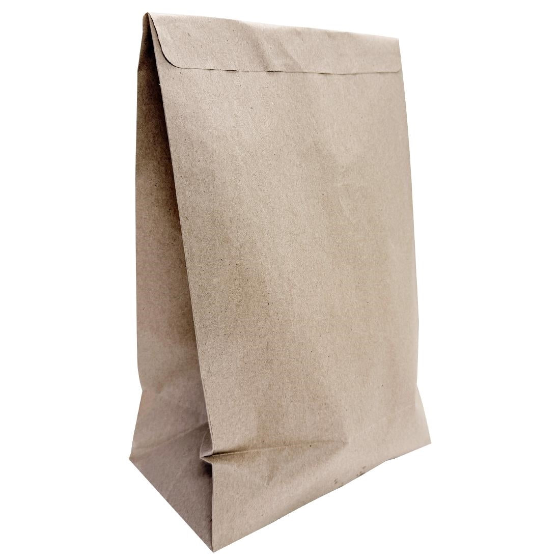 Fiesta Recyclable Sealable Takeaway Bags Large (250 Pack)