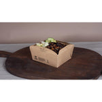 Notpla Clip & Close Food Boxes 800ml - Kraft (260 Pack)