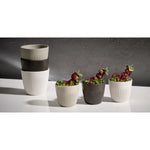 APS Lineo Bowls White 90ml (6 Pack)