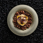 Playground Savanna Bowl 240mm