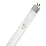 Nisbets Essentials Fly Killer Replacement Fluorescent Bulb 8W