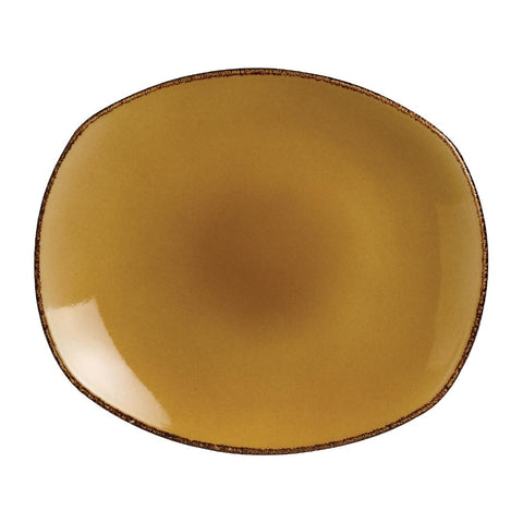 Steelite Terramesa Mustard Spice Plates 255mm (Pack of 24)