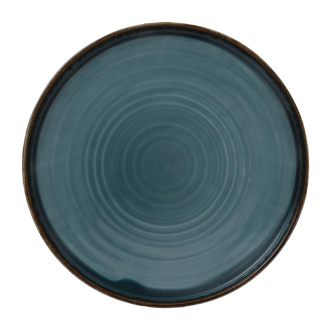 Dudson Harvest Blue Walled Plate 220mm product image