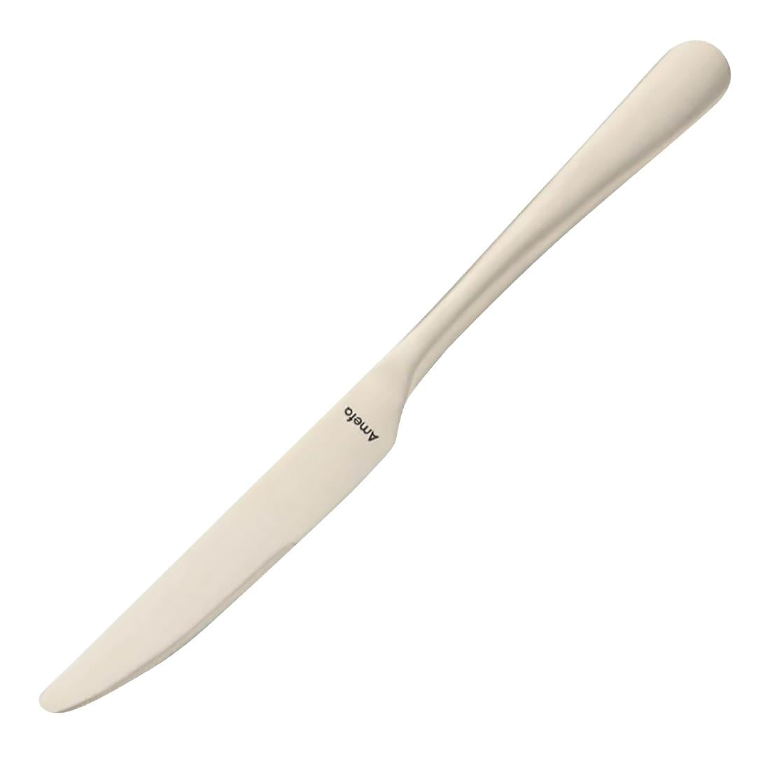 Amefa Table Knife Champagne product image