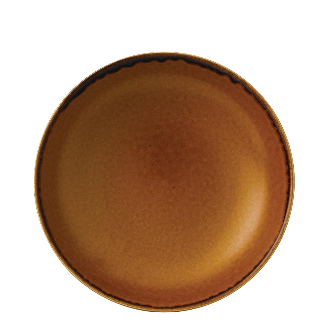 Dudson Harvest Evolve Coupe Bowls Brown 248mm product image