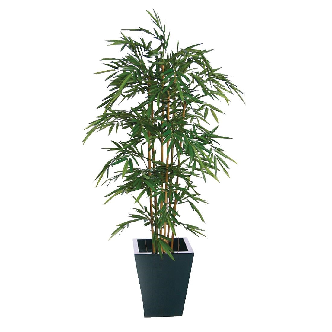 Natural Bamboo 1200mm product image