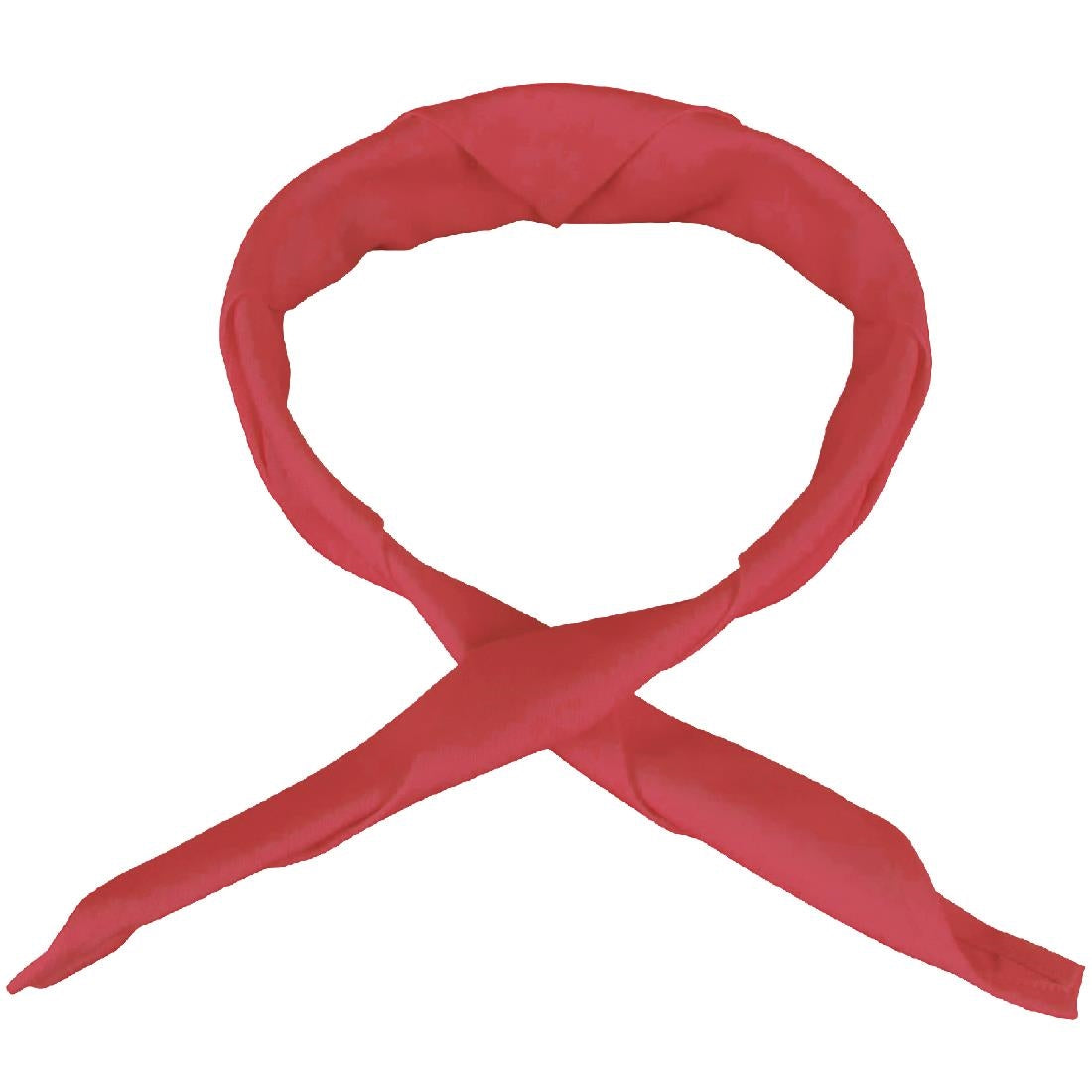 Whites Neckerchief Red product image