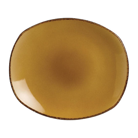 Steelite Terramesa Mustard Spice Plates 305mm product image